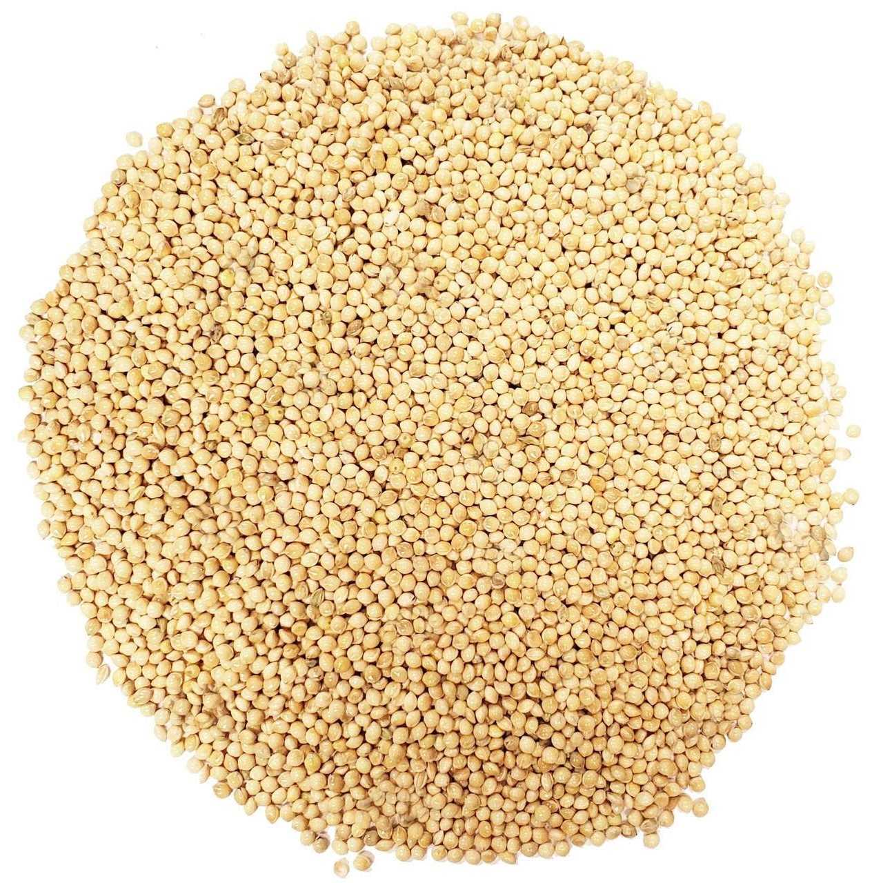 Alternative view of Shafer Seed 84075 White Proso Millet Wild Bird Food, 50-Pound