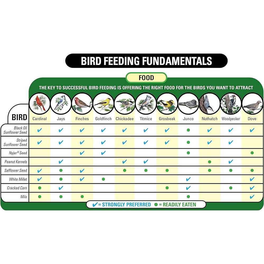 Alternative view of Wagner's 57075 Safflower Seed Wild Bird Food