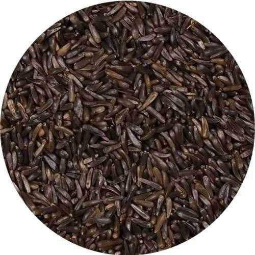 Alternative view of Wagner's Nyjer Seed Wild Bird Food