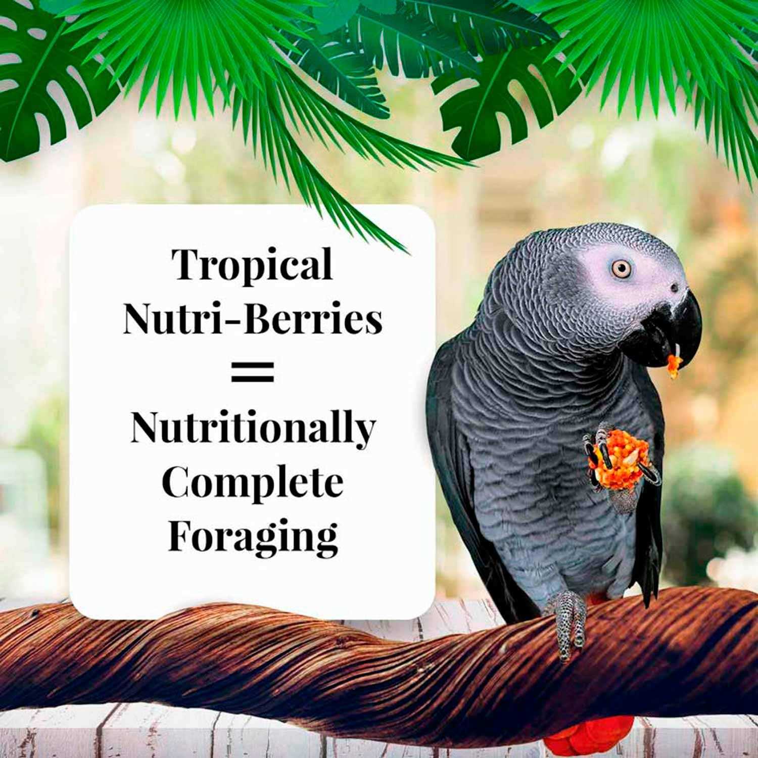 Alternative view of Lafeber Tropical Fruit Nutri-Berries Parrot Food