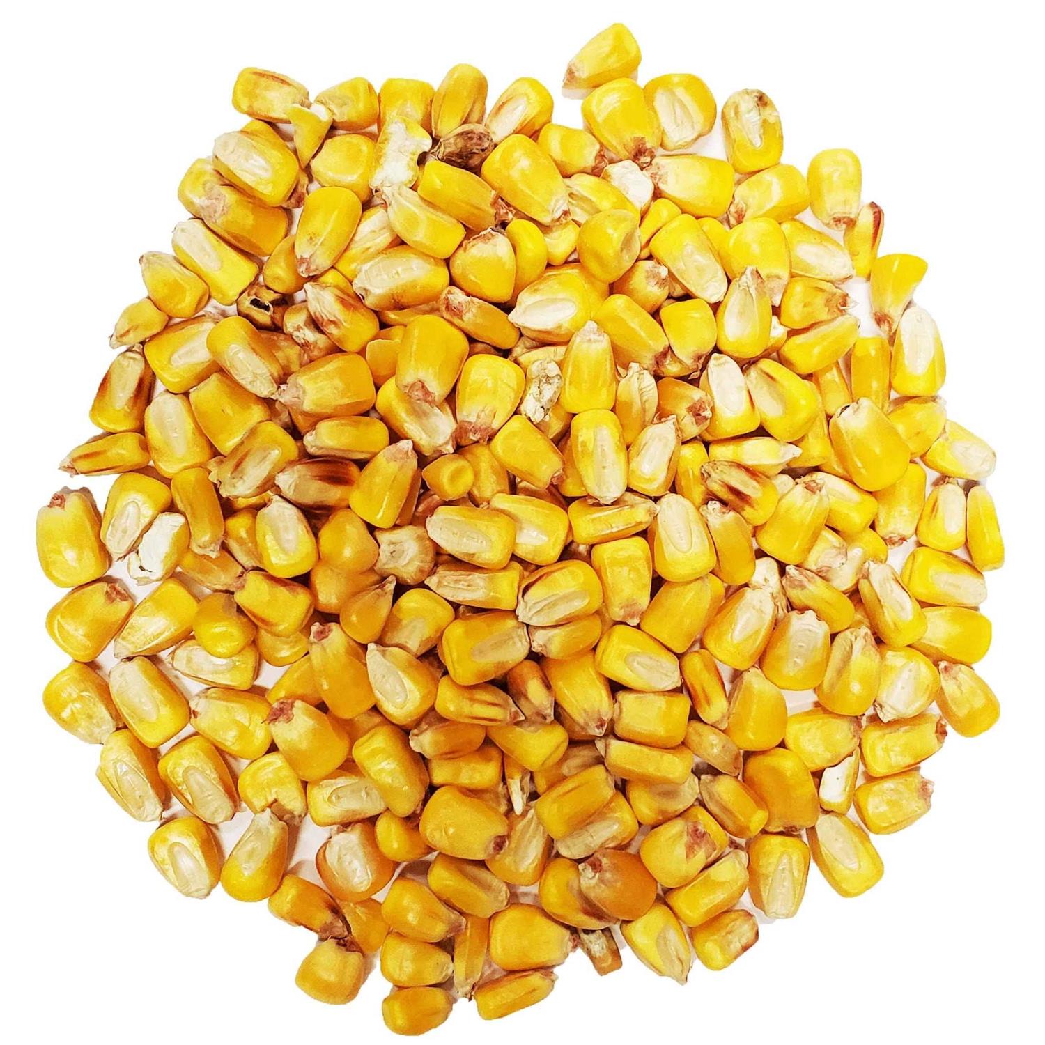 Alternative view of CountryMax Bulk Whole Corn for Wildlife Feeding