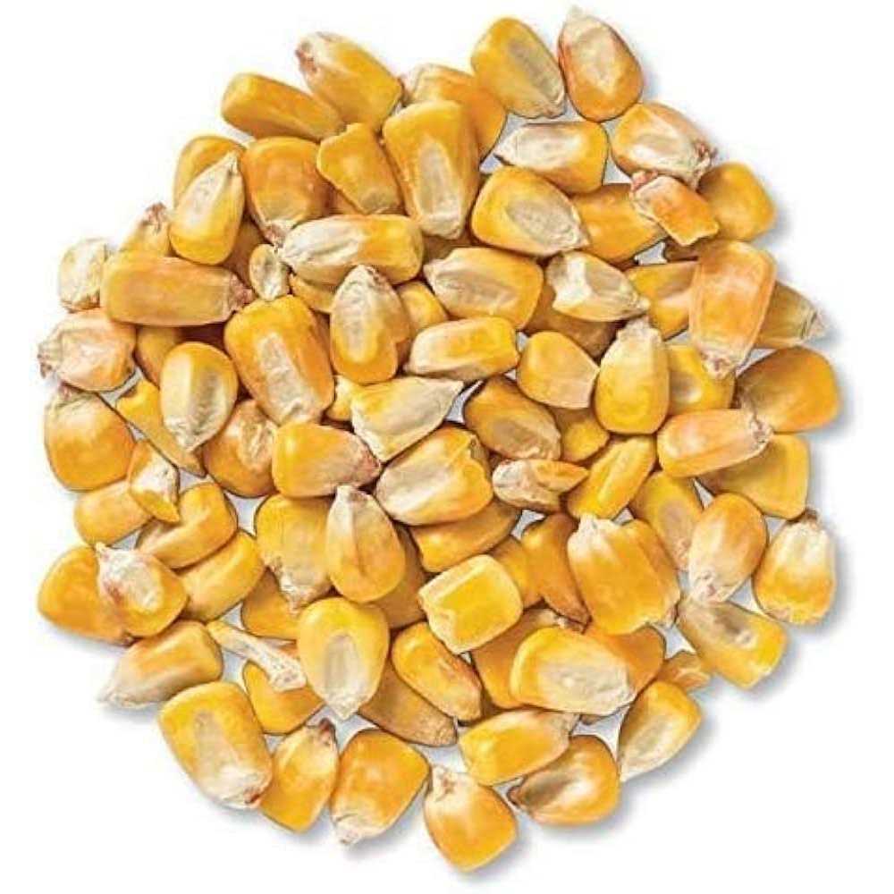 Alternative view of CountryMax Bulk Whole Corn for Wildlife Feeding