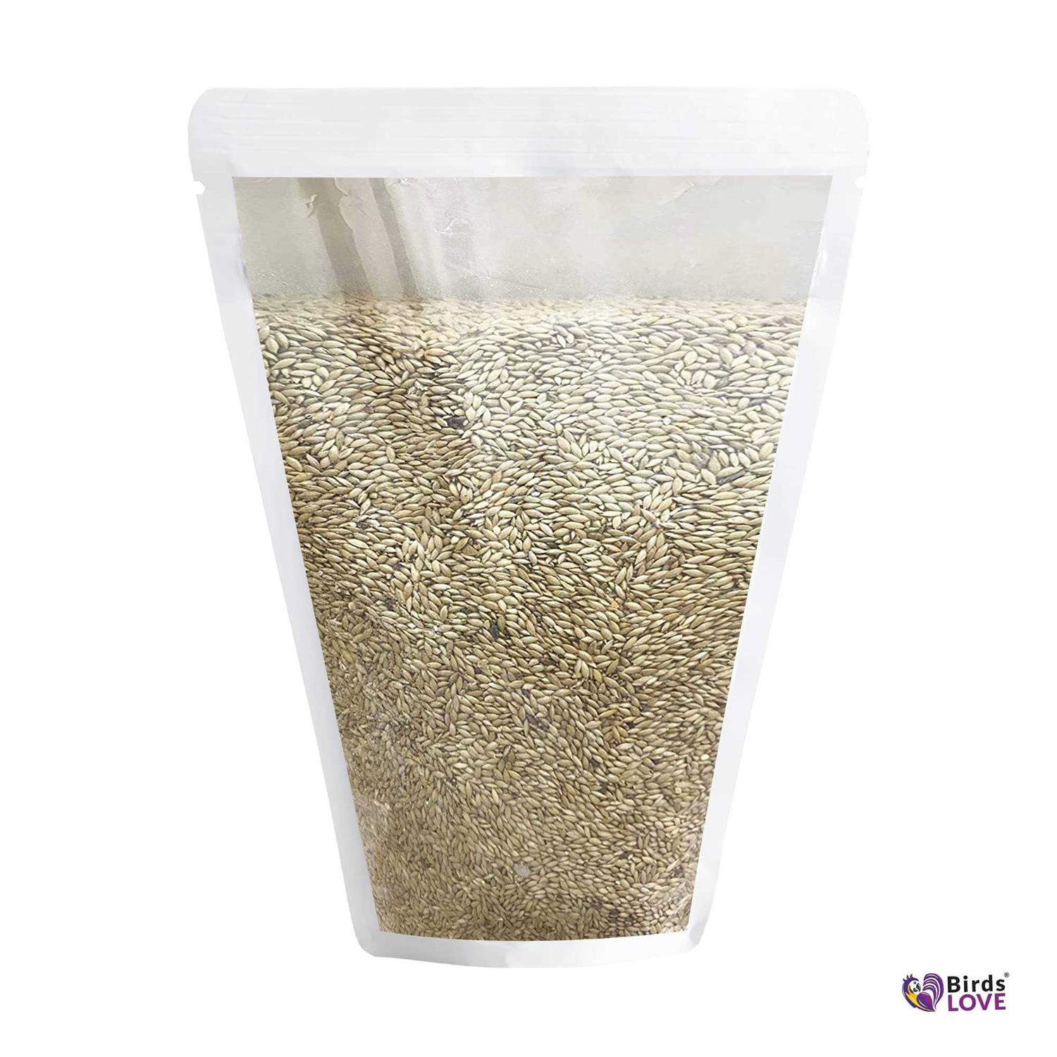 Alternative view of Birds LOVE Alpiste 100% Non-GMO Double Cleaned Canary Seed for Canaries and Finch Birds with No Fillers or Additives