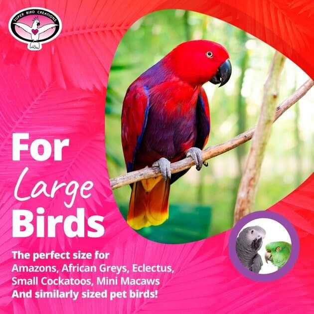 Alternative view of Super Bird Creations SB1107 Bagel Cascade Bird Toy