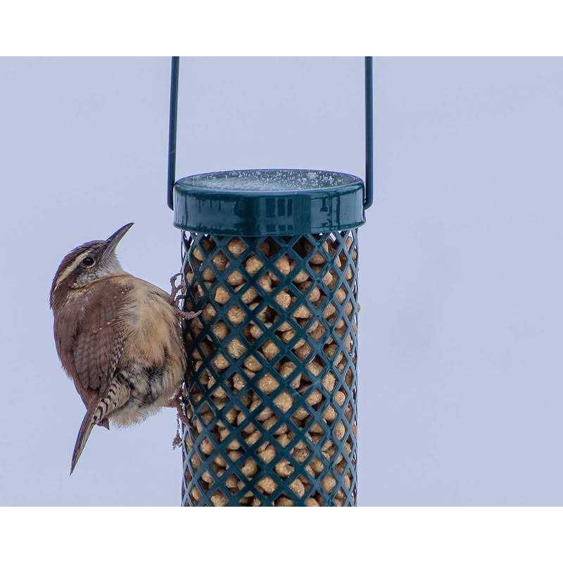 Alternative view of C&s Woodpecker Suet Nuggets No Melt No Waste