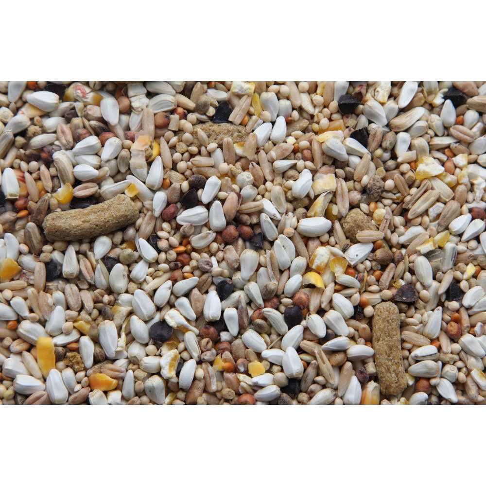 Alternative view of Higgins Australian Hookbill Bird Food