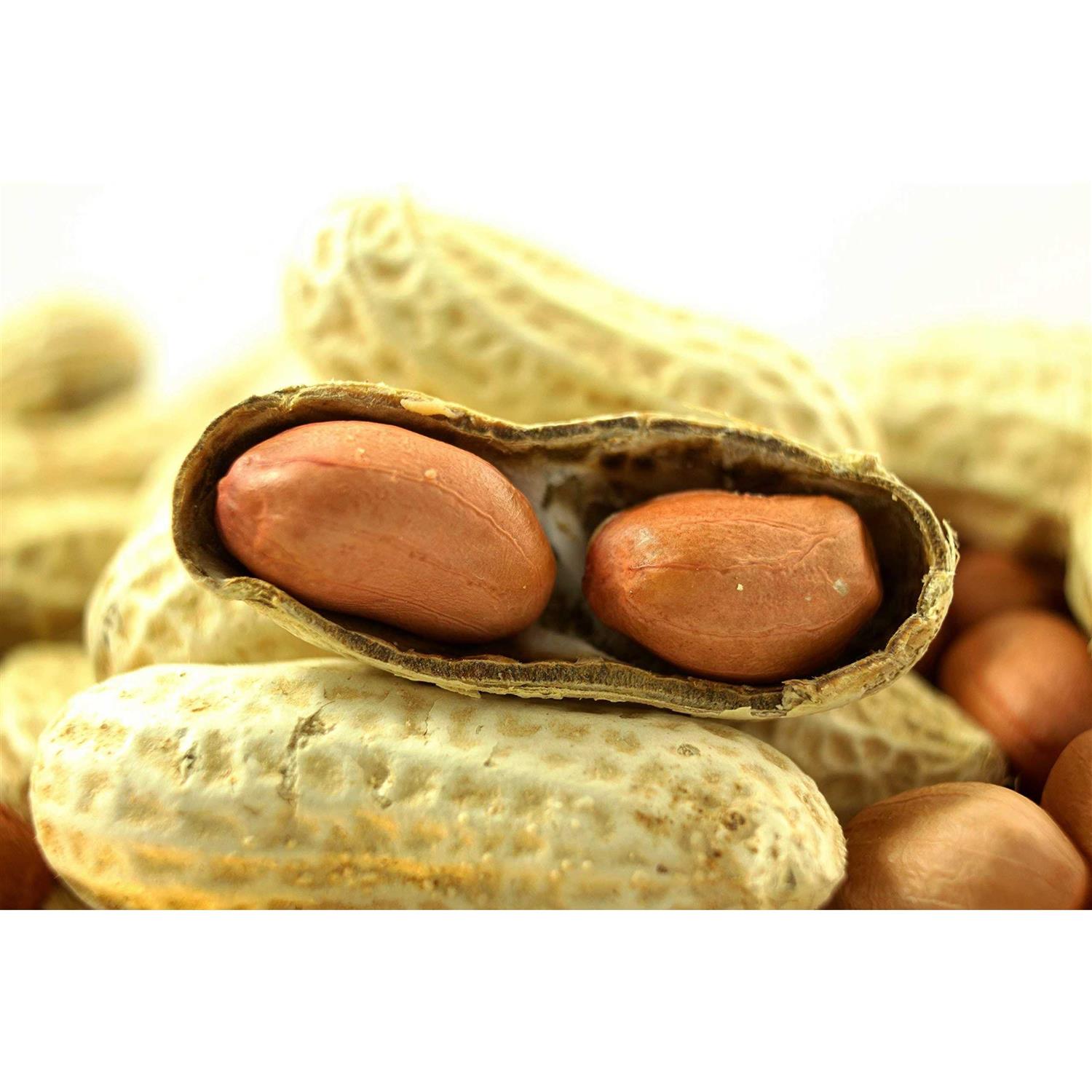 Alternative view of WAKEFIELD PEANUT COMPANY A TRADITION OF EXCELLENCE SINCE 1965 Wakefield Extra Large Virginia Peanuts for Animals