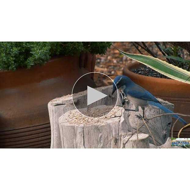Alternative view of CountryMax Sunflower Coarse Hearts No Waste No Mess Bird Seed