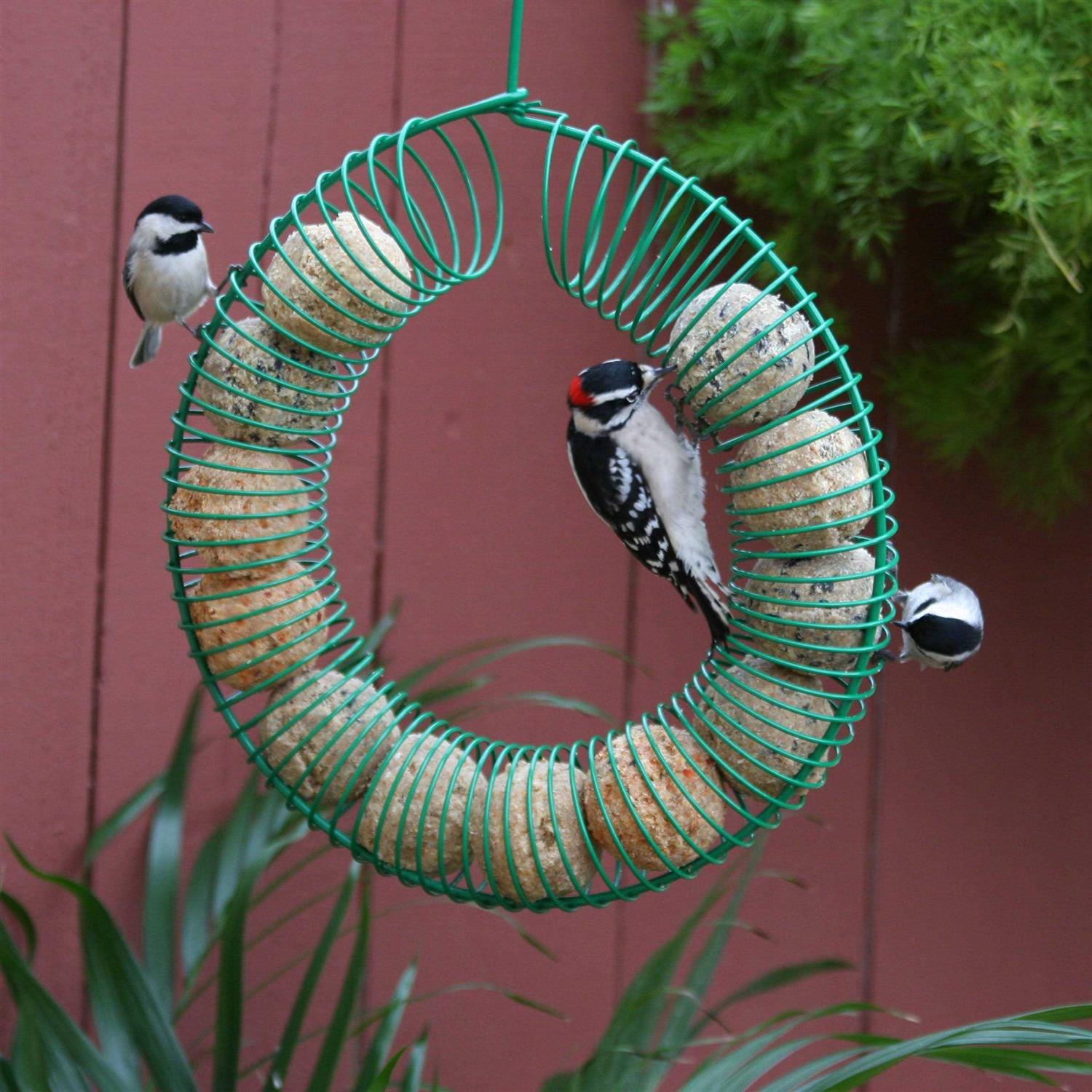 Alternative view of Pacific Bird & Supply Co Smorgasbug Suet Balls