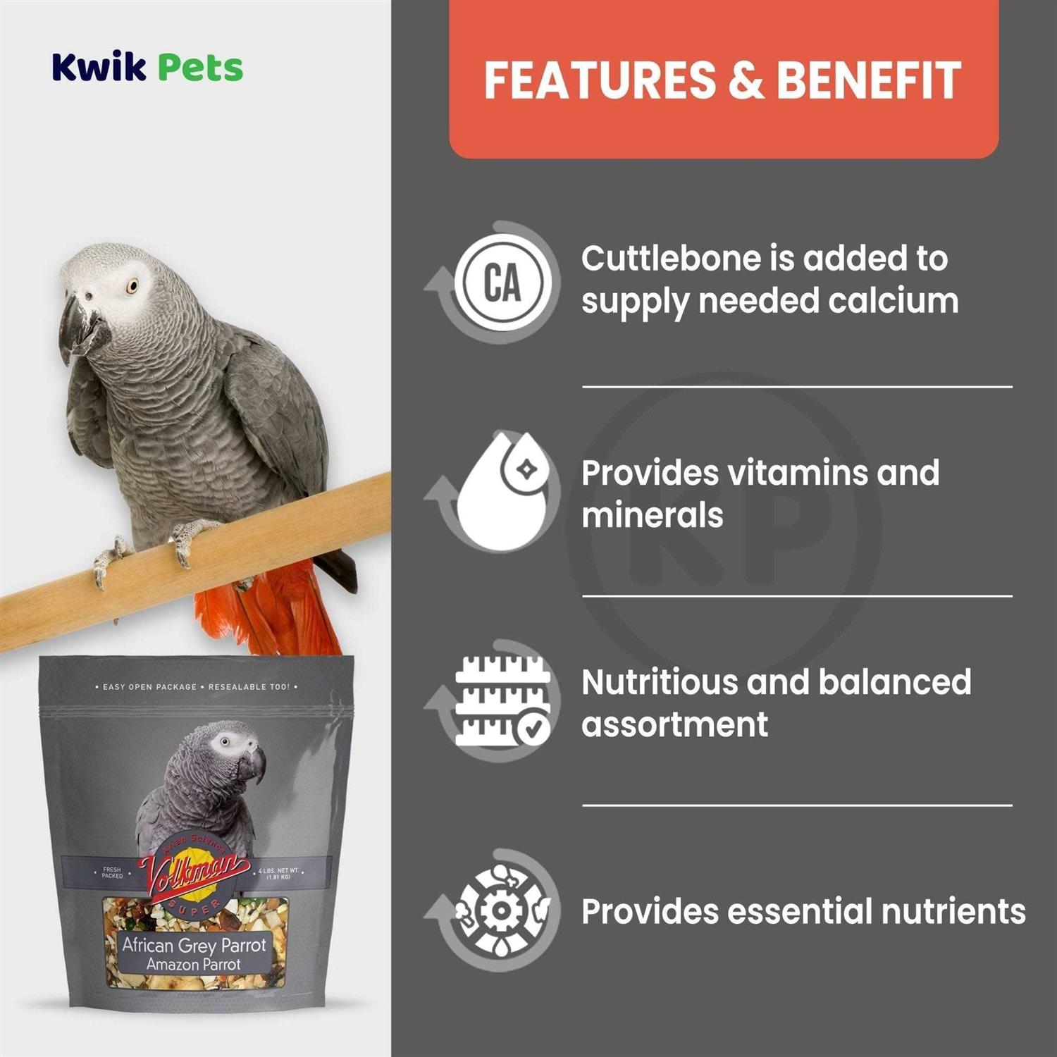 Alternative view of Volkman Avian Science Super African Grey