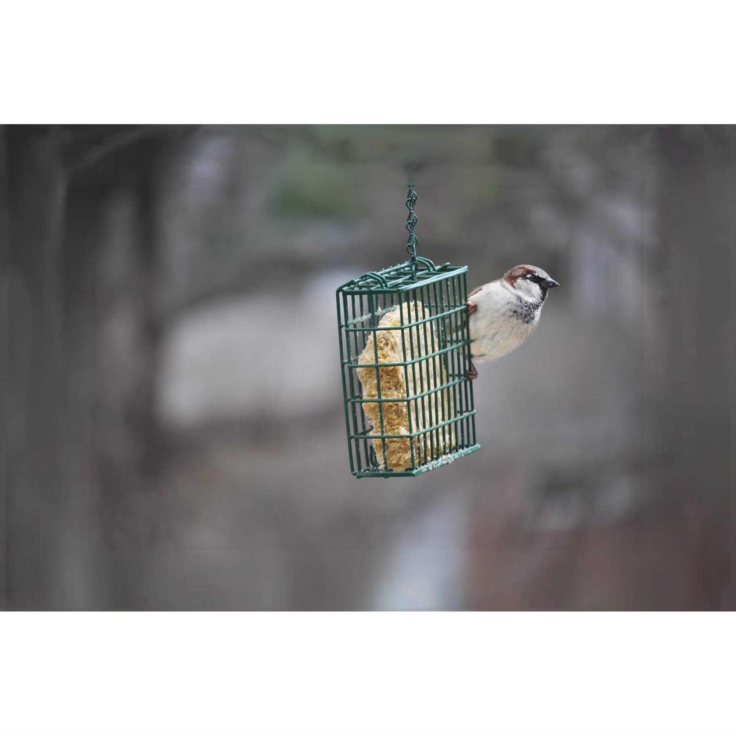 Alternative view of C&S Mealworm Delight No Melt Suet Dough
