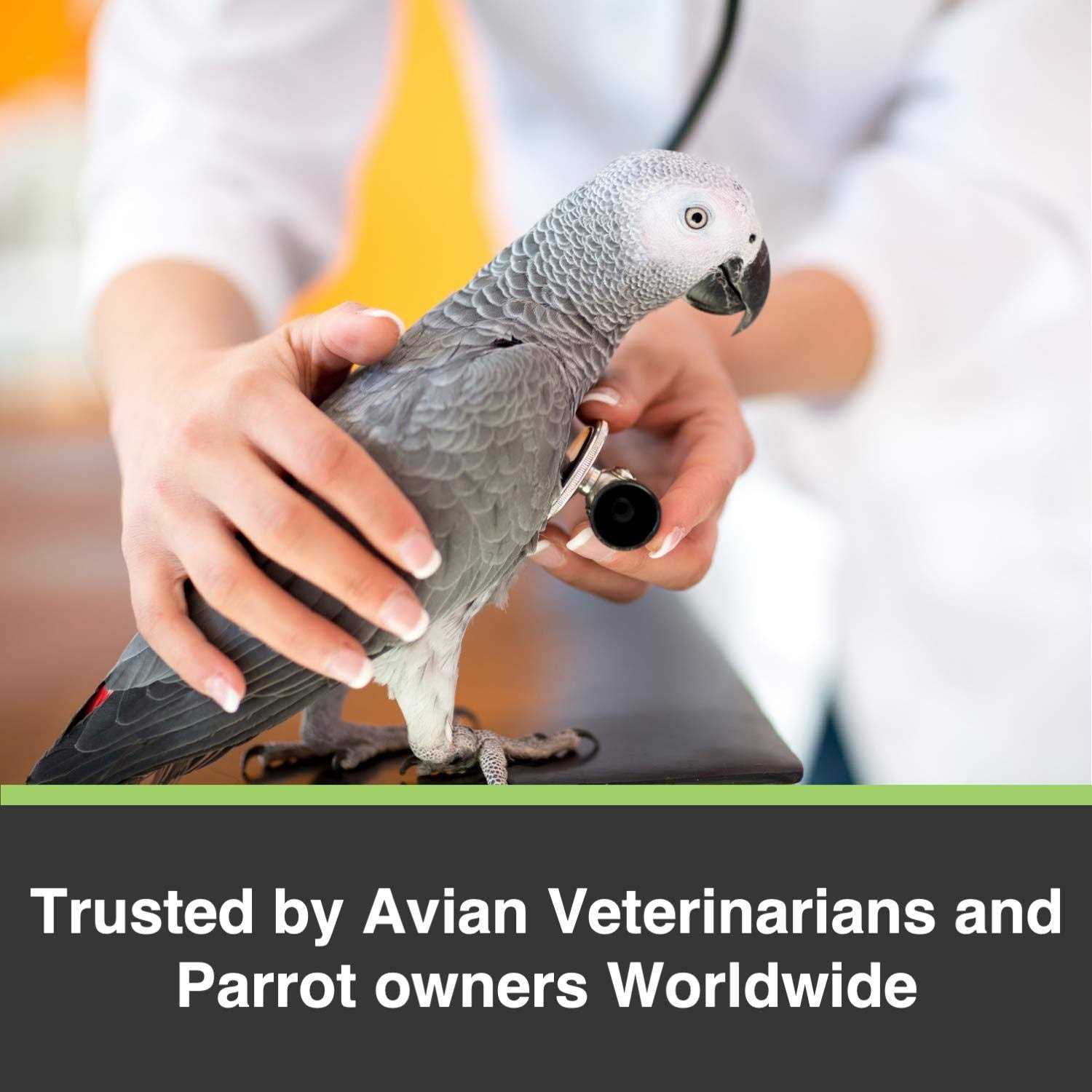Alternative view of Tropimix Cockatiel Lovebird