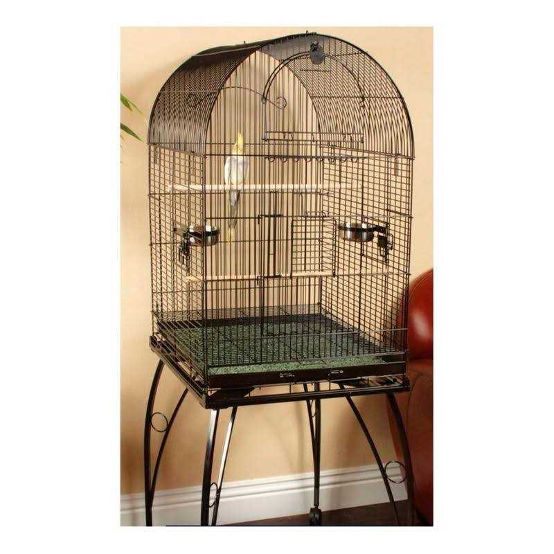 Alternative view of You & Me Standing Cockatiel Cage