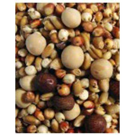 Alternative view of F.M. Browns Breeder Kafir Pigeon Food 50 lb