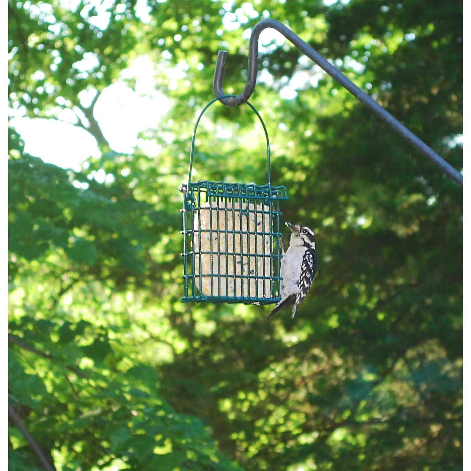 Alternative view of Wildlife Sciences High Energy Suet Cake 10 Pack