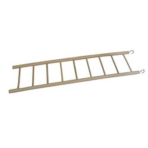Alternative view of You & Me Bird 9-Step Wood Bird Ladder