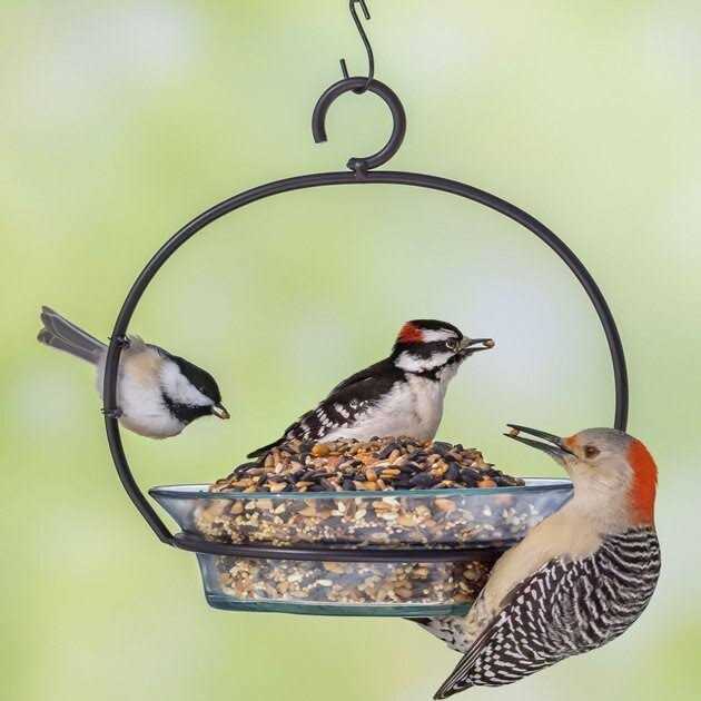 Alternative view of Melody Select Hot Pepper Blend Bird Food 14059