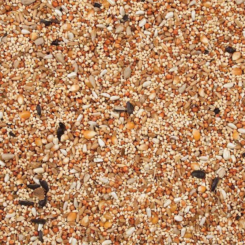 Alternative view of Wild Delight Dove Quail Food
