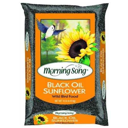 Alternative view of Morning Song Black Oil Sunflower Wild Bird Food
