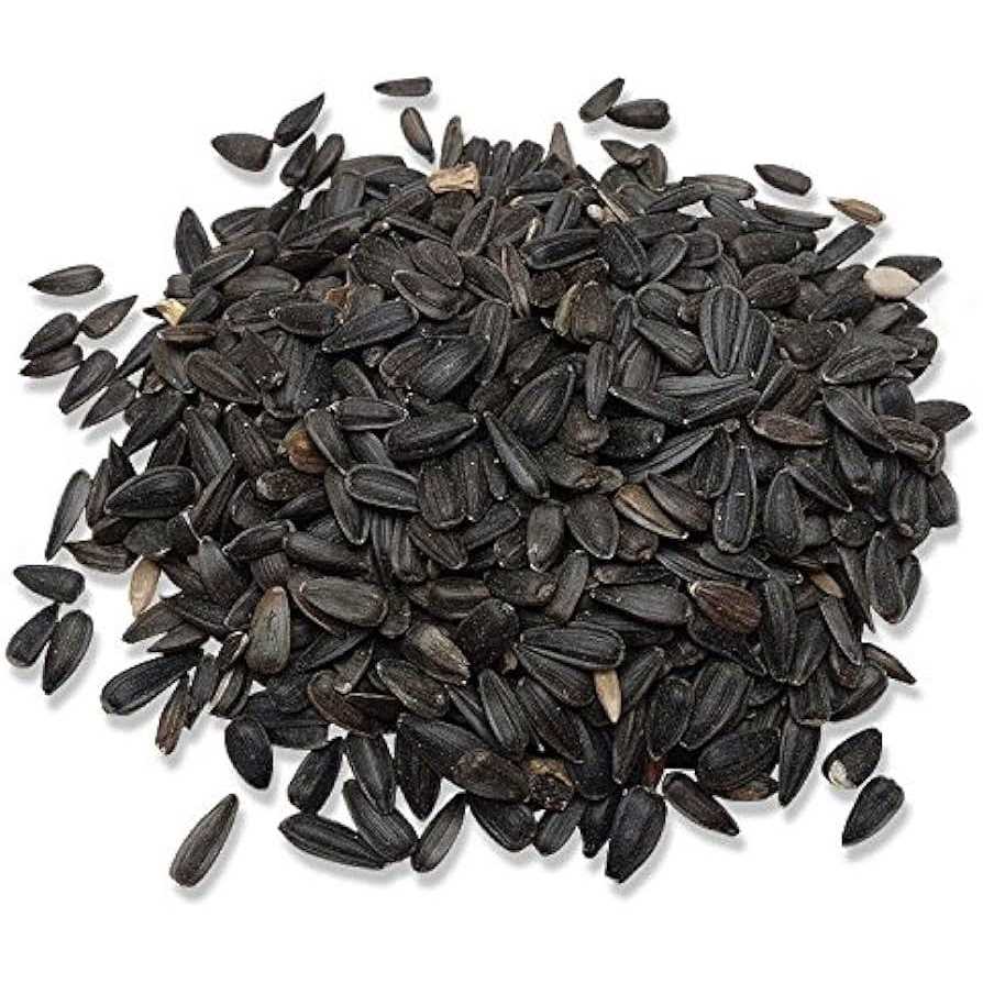 Alternative view of Audubon Park Black Oil Sunflower Seed Wild Bird Food 12259