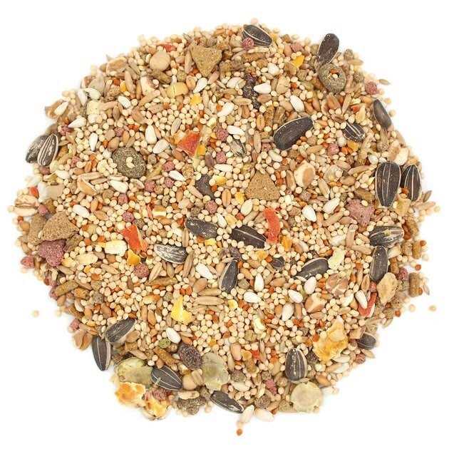 Alternative view of Sunseed Vita Prima Cockatiel & Lovebird Food