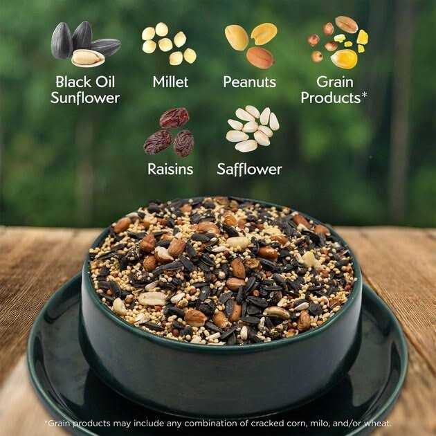 Alternative view of Morning Song Nut & Fruit Wild Bird Food