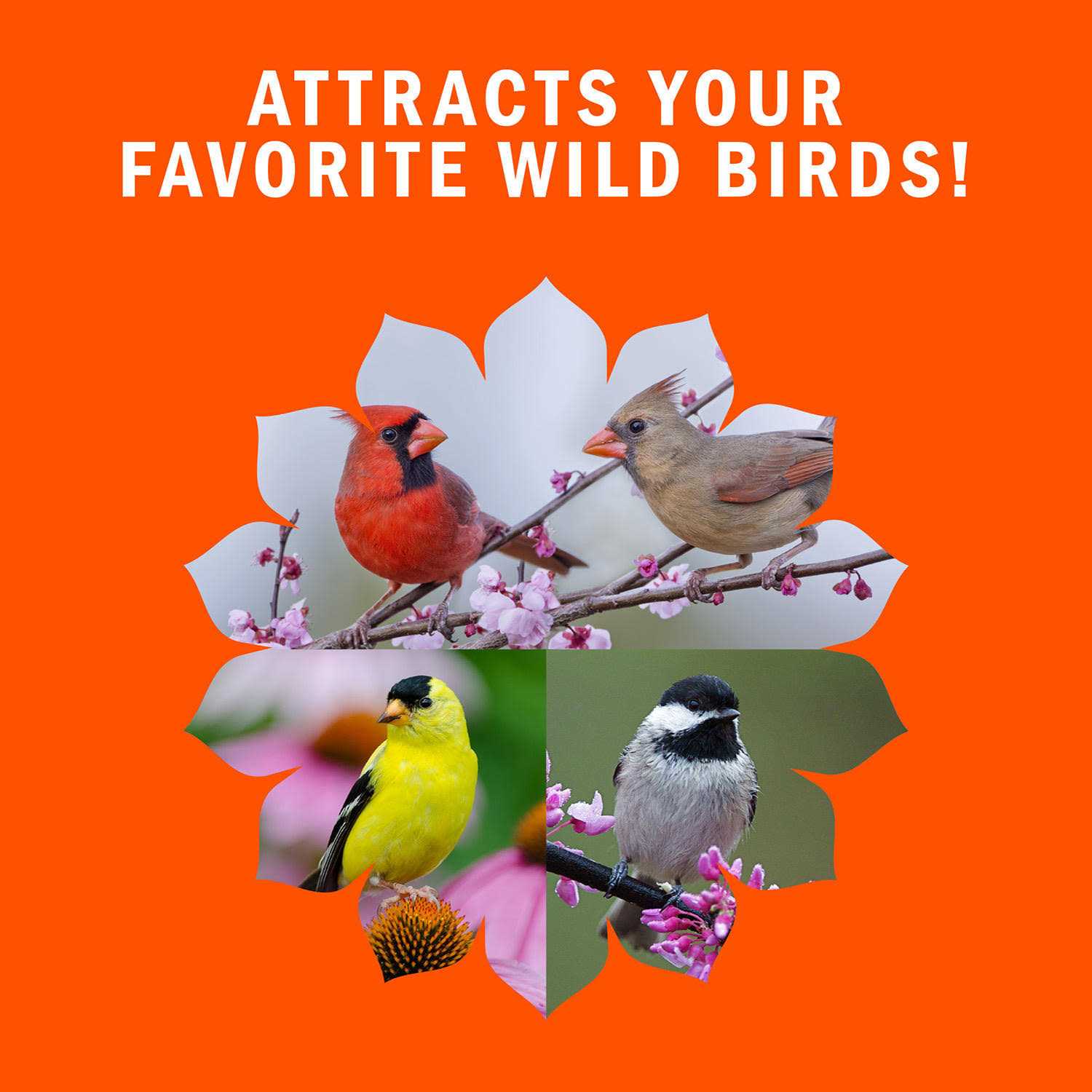 Alternative view of Audubon Park High Energy Blend Wild Bird Food