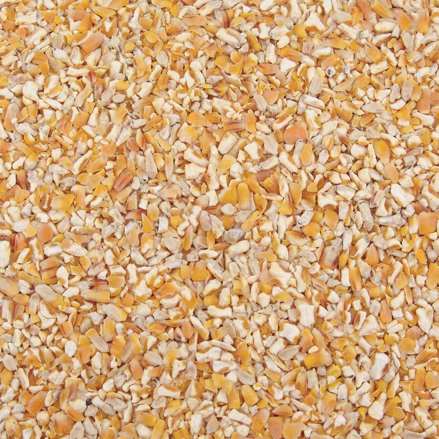 Alternative view of Ace Songbird Corn Cracked Corn