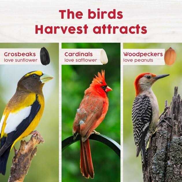 Alternative view of Harvest Seed & Supply Red Berry & Nut Bird Food