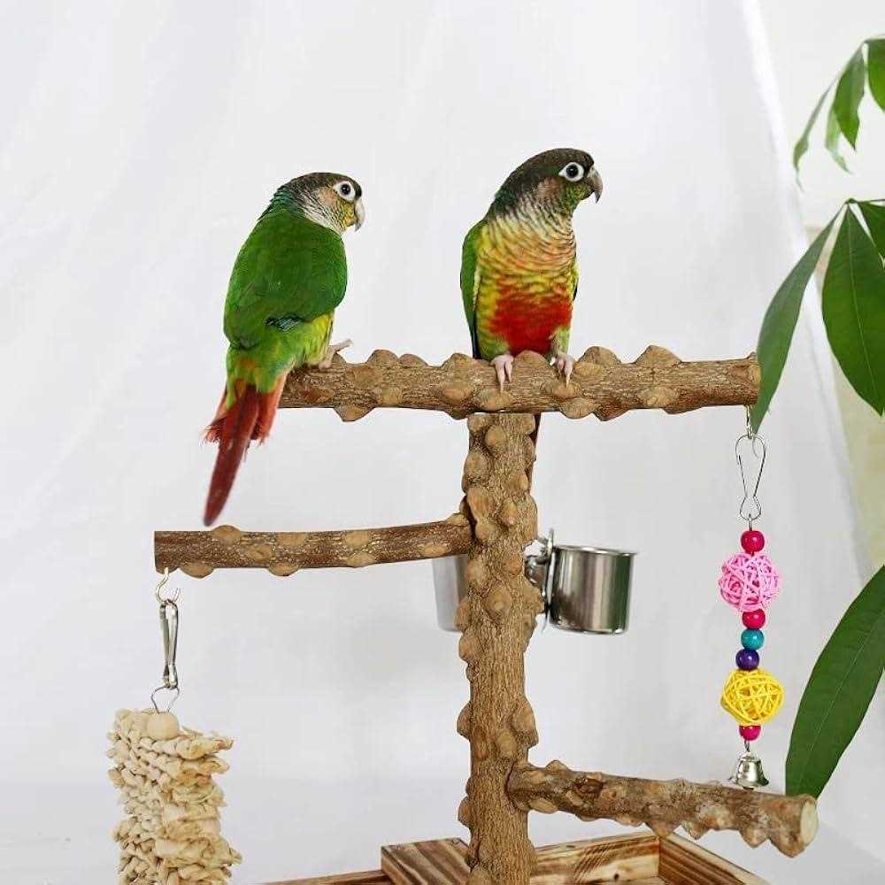 Alternative view of Bird Perch Platform Stand,Wood Perch Bird Platform Parrot Stand Playground Cage Accessories for Small Anminals Rat Hamster Gerbil Rat Mouse Lovebird
