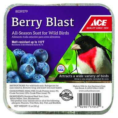 Alternative view of Ace Berry Blast Assorted Species beef Suet 11 oz
