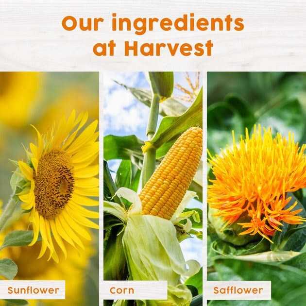 Alternative view of Harvest Seed & Supply Hot Pepper Snack Stack Corn Free Wild Bird Food