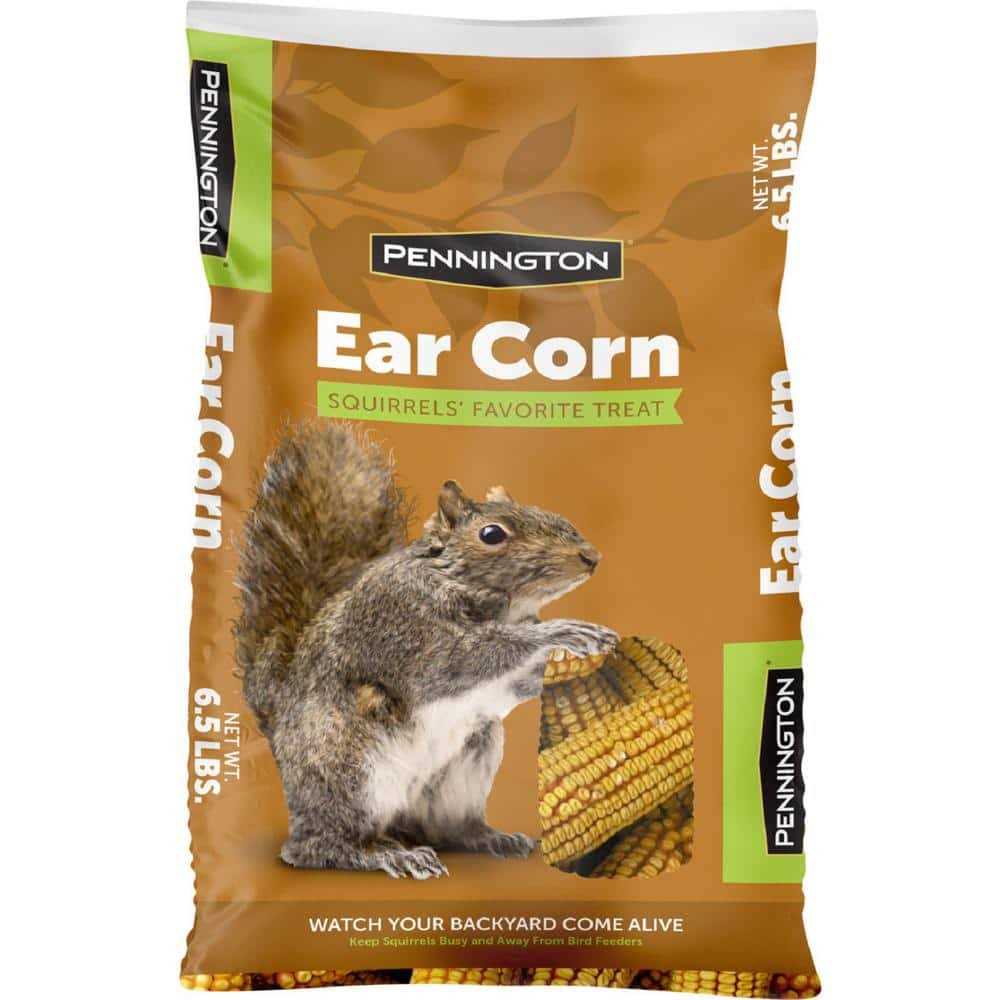6.5 Lbs. Squirrels Ear Corn Cobs
