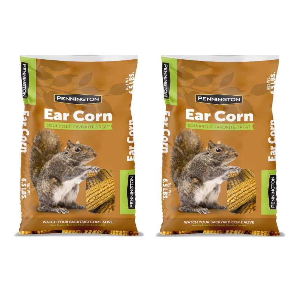 6.5 Lbs. Squirrels Ear Corn Cobs