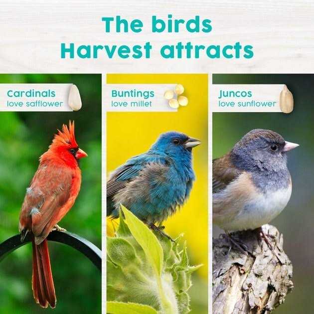 Alternative view of Harvest Seed & Supply Songbird Snack Stack Wild Bird Food