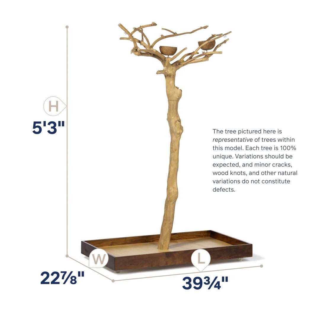 Alternative view of Prevue Pet Products Coffeawood Tree Style #2 Floor Stand Small