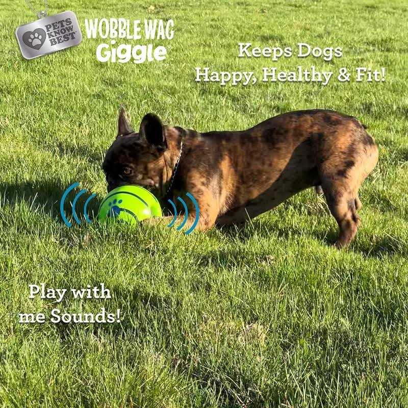 Alternative view of Wobble Wag Giggle Ball Dog Toy