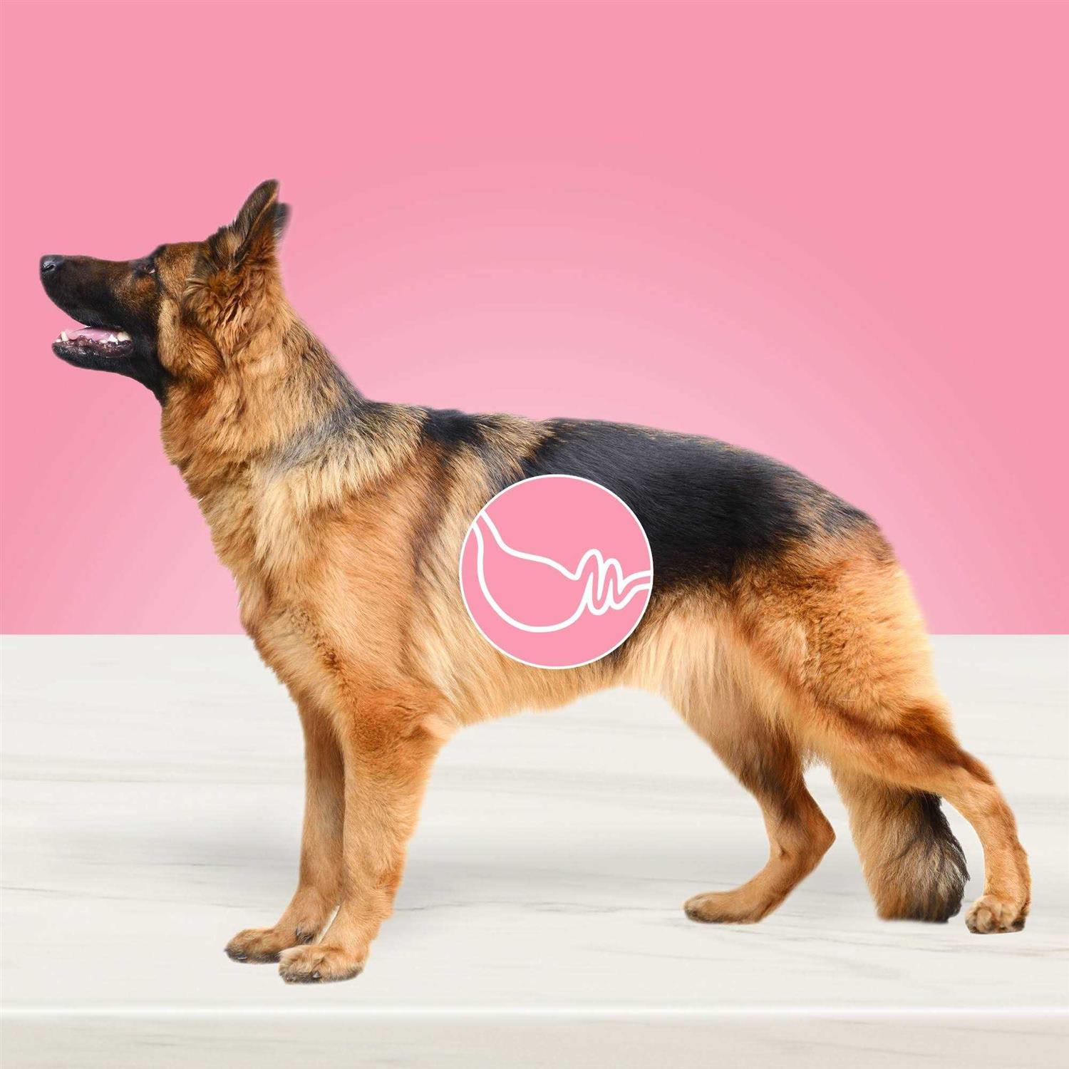 Alternative view of Blue Buffalo True Solutions Blissful Belly Digestive Care Adult Dry Dog Food