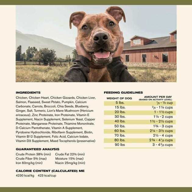Alternative view of Badlands Ranch Superfood Complete Air Dried Chicken Dog Food
