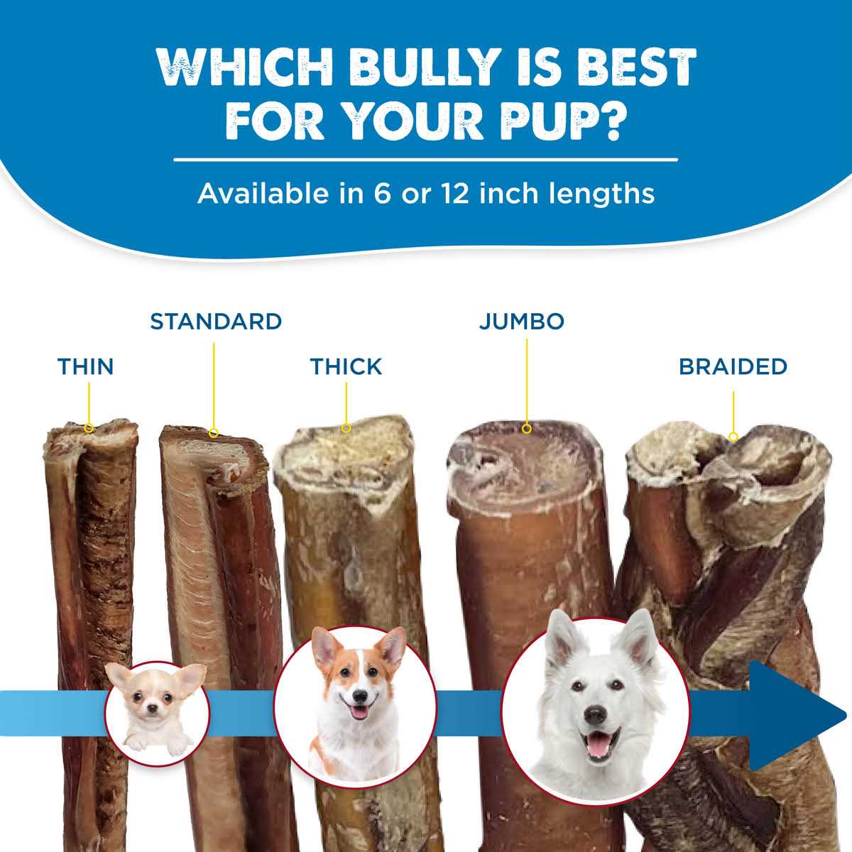 Alternative view of Best Bully Sticks All-Natural Bully Sticks for Dogs