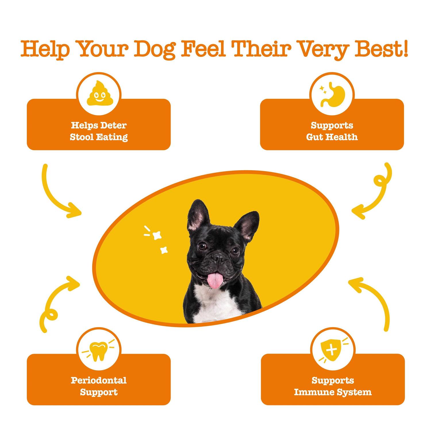 Alternative view of Zesty Paws Chew No Poo Bites for Dogs
