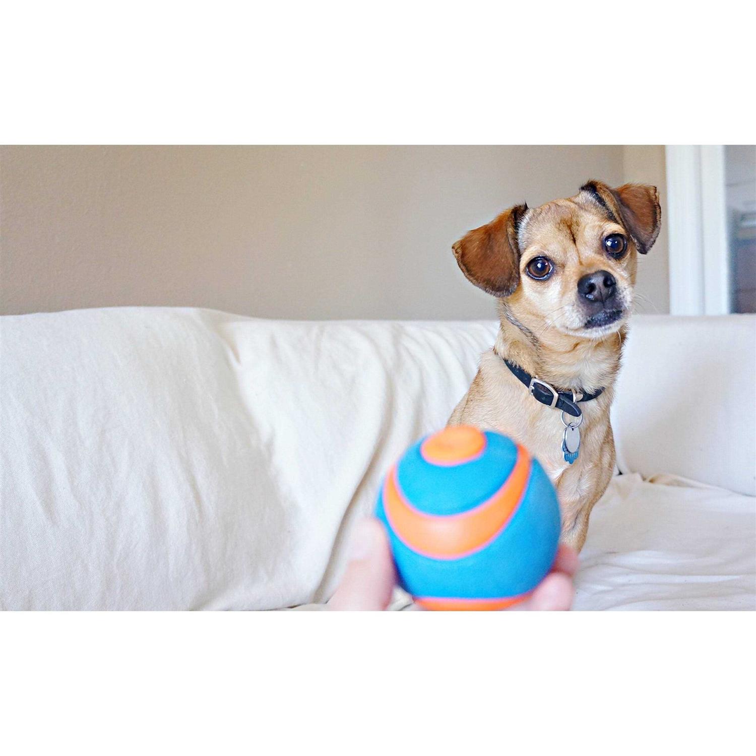 Alternative view of CHUCKIT! ULTRA BALL