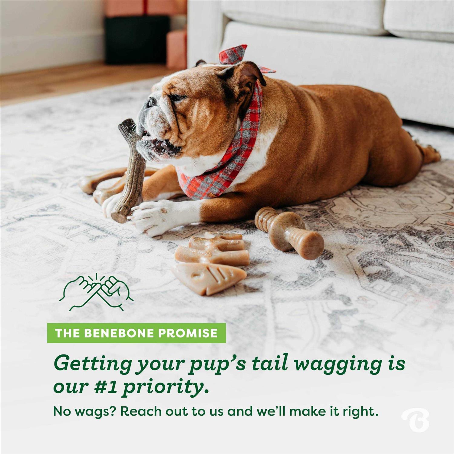 Alternative view of Benebone Dog Chew Toy Holiday 4 Pack