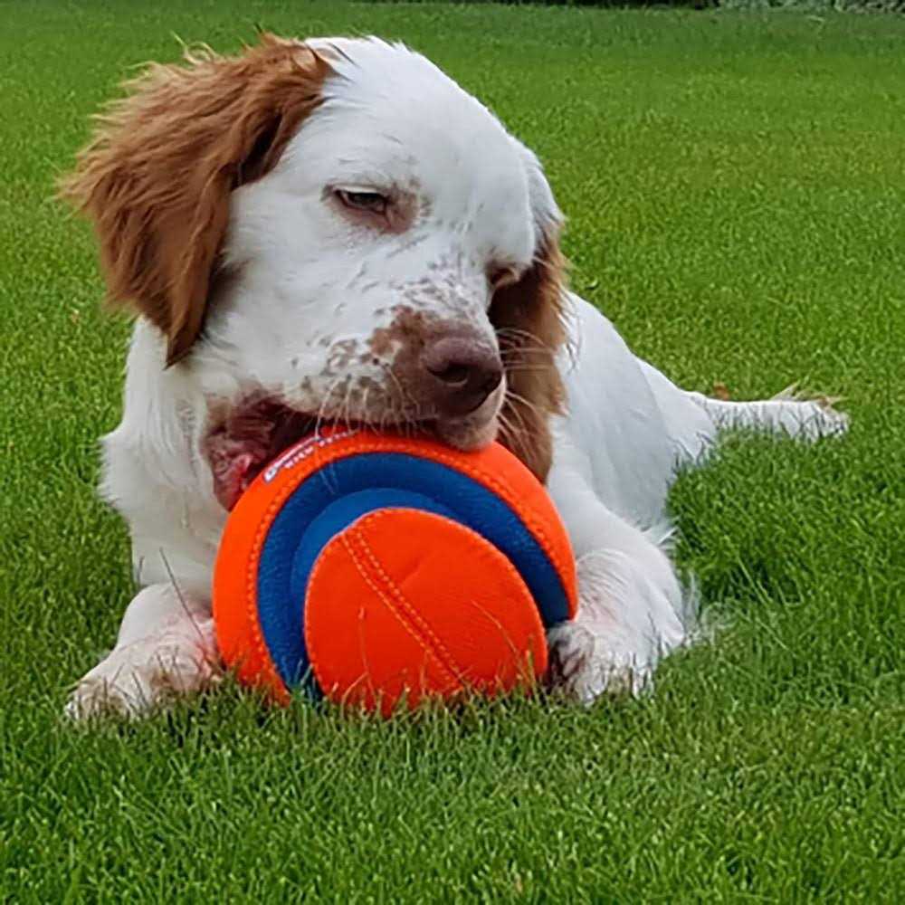 Alternative view of Chuckit! Kick Fetch Ball Dog Toy
