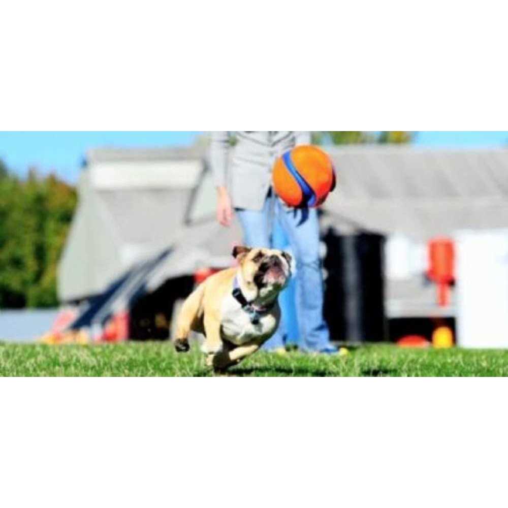 Alternative view of Chuckit! Kick Fetch Ball Dog Toy