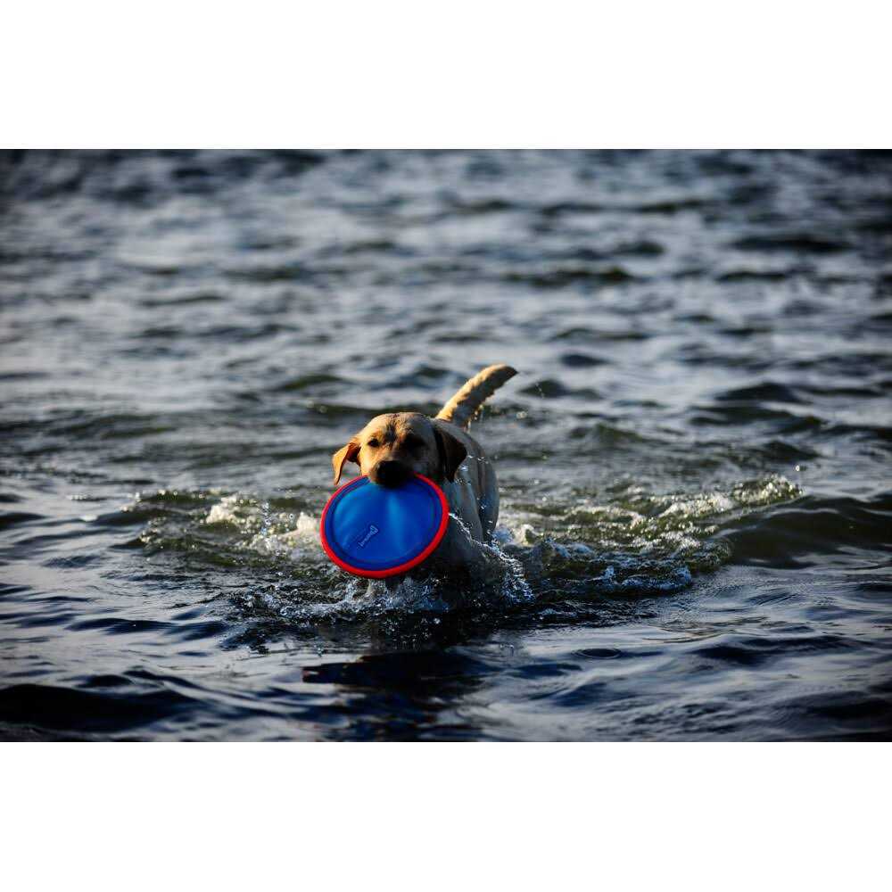 Alternative view of Chuckit! Dog Toy Paraflight
