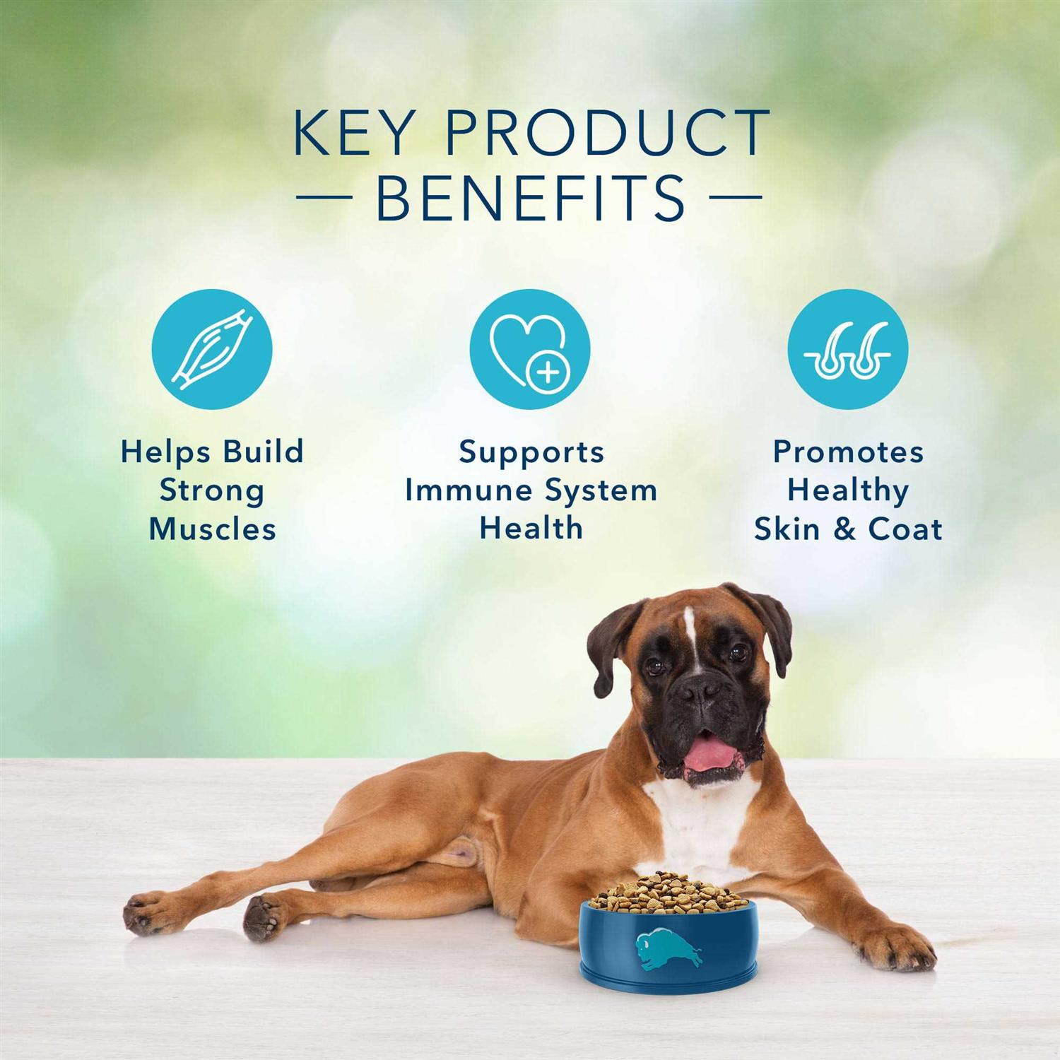 Alternative view of Blue Buffalo Freedom Adult Free Dog Food