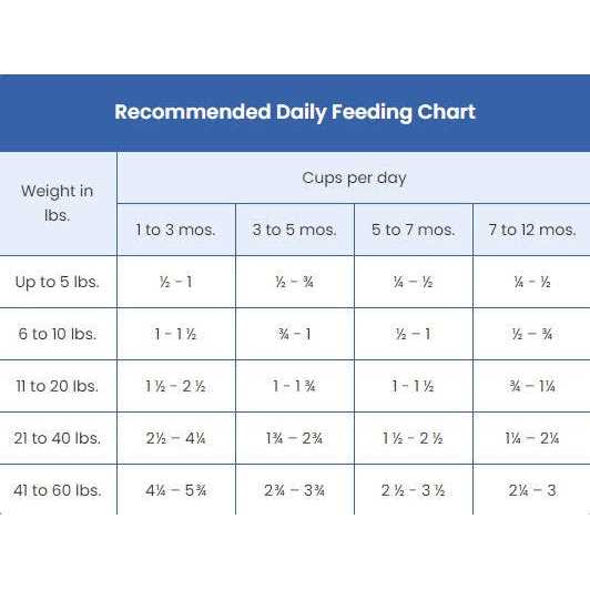 Alternative view of Blue Buffalo Wilderness High Protein Natural Puppy Dry Dog Food Chicken