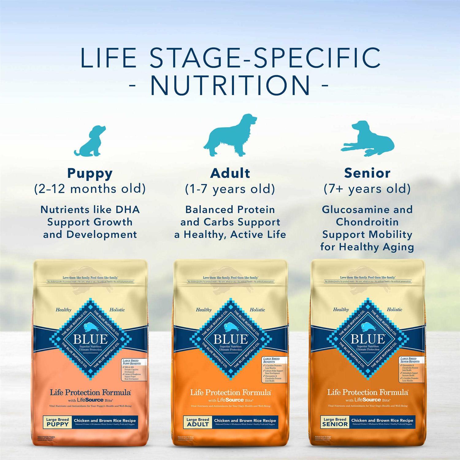 Alternative view of Blue Buffalo Life Protection Formula Fish & Brown Rice Adult Dry Dog Food