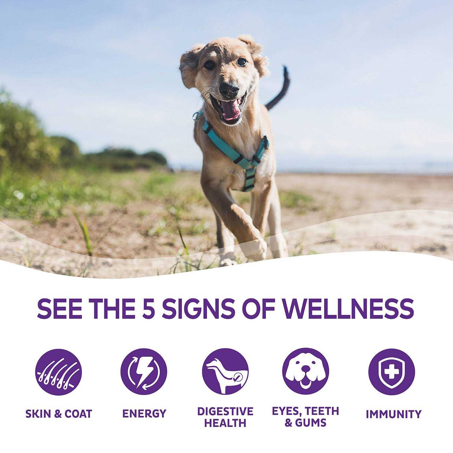 Alternative view of Wellness Complete Health Whitefish & Sweet Potato Dry Dog Food